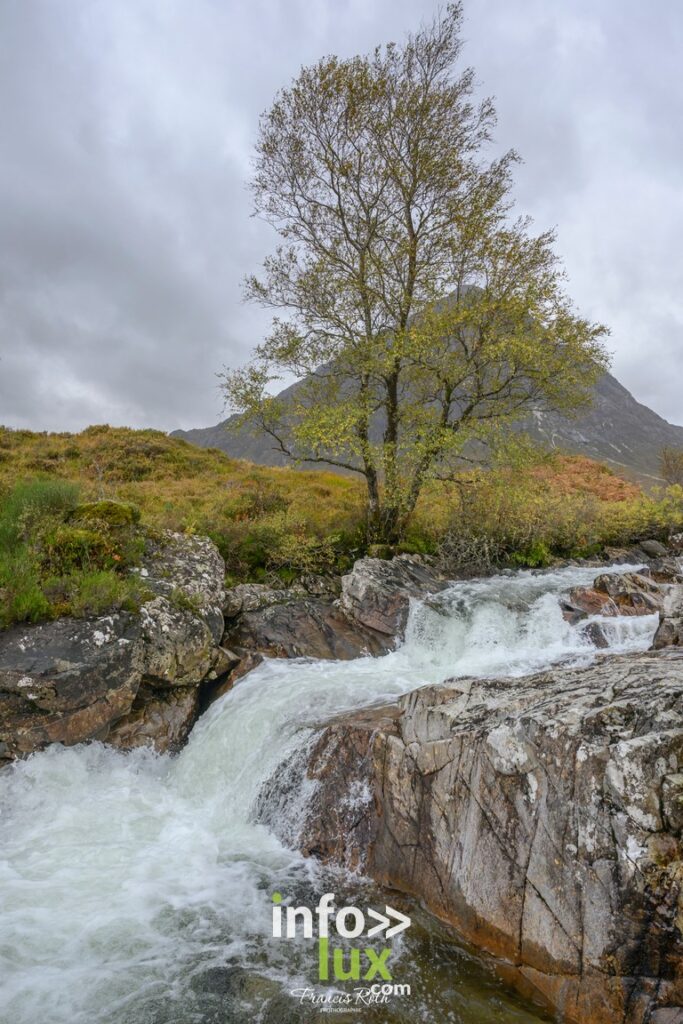 Nivelles > Francis Roth > Photographe
