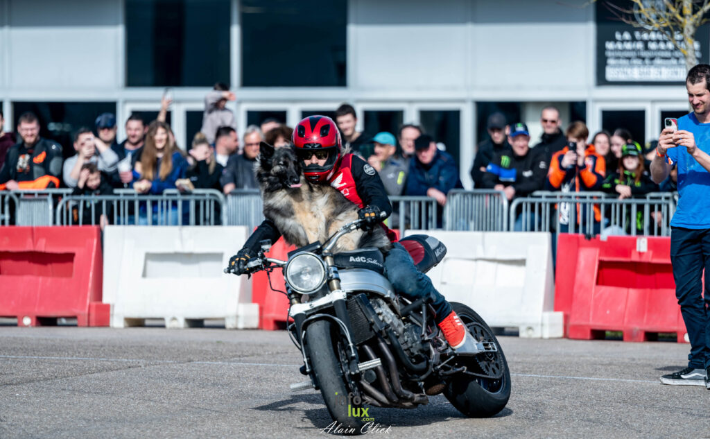 METZ > SALON 2026 > MOTO > PHOTO