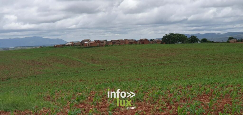 Rodange > Madagascar > Champs d'Avenir