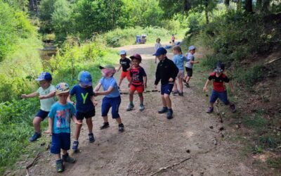 Anlier > Stage nature