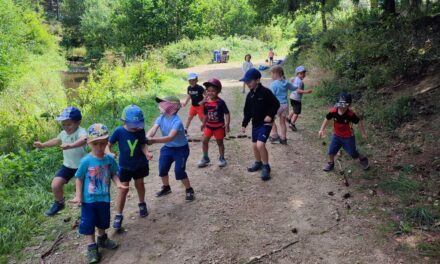 Anlier > Stage nature