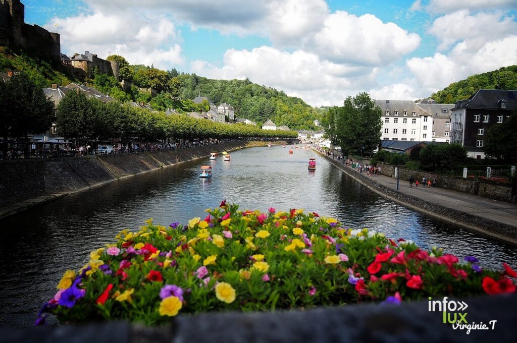 Bouillon > Initiative > Bouillon en Fleurs