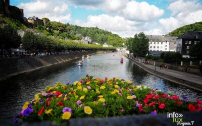 Bouillon > Concours > Une grande chasse aux canards dans les commerces