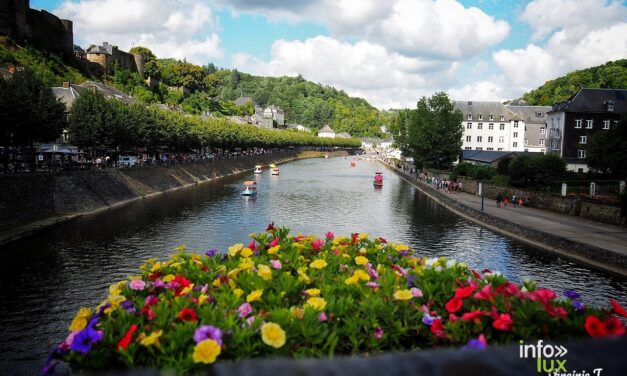 Bouillon > Concours > Une grande chasse aux canards dans les commerces