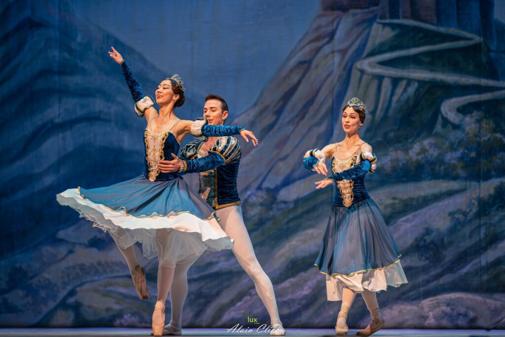 METZ > LE LAC DES CYGNES > PHOTO > 2026