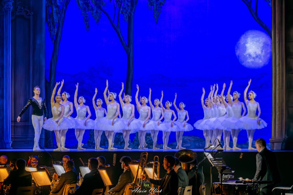 METZ > LE LAC DES CYGNES > PHOTO > 2026