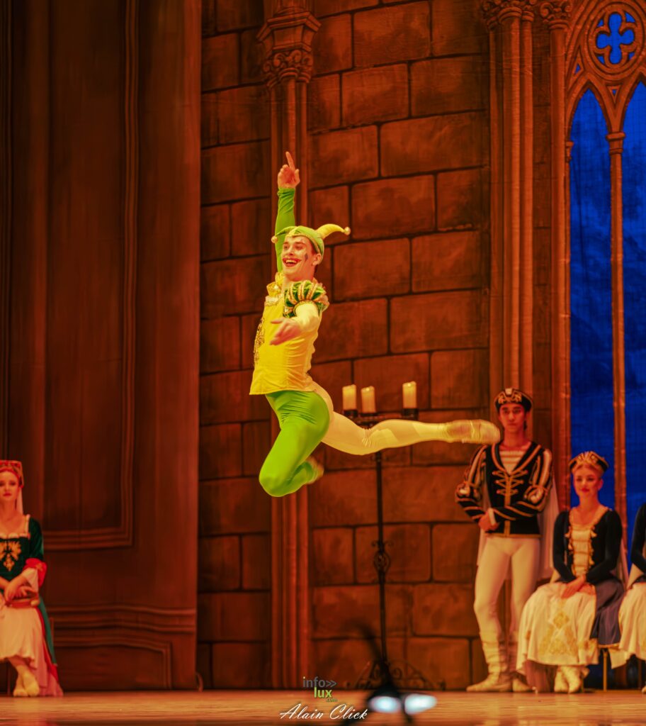 METZ > LE LAC DES CYGNES > PHOTO > 2026