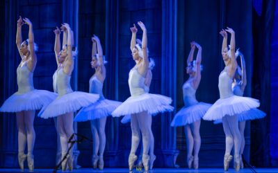 METZ > SPECTACLE > RETROUVEZ LES PHOTOS DU LAC DES CYGNES
