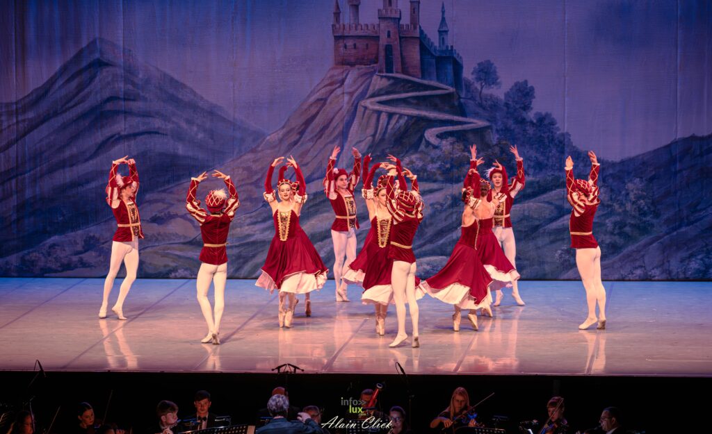 METZ > LE LAC DES CYGNES > PHOTO > 2026