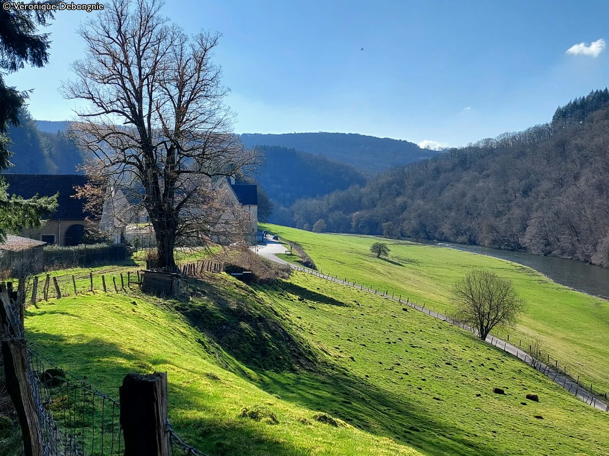 Bouillon, vue sur la Semois et le château fort - province de Luxembourg
