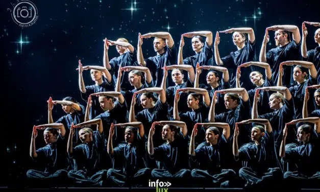 AMNEVILLE > SPECTACLE > MURMURATION LEVEL 2 > PHOTOS