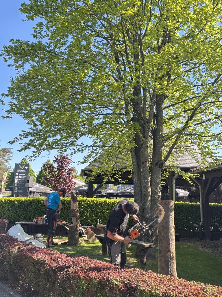 Rochehaut > Fête des artisans > Vieux métiers
