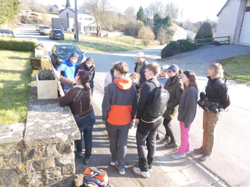 Léglise > Balade > Plumes d'oiseaux