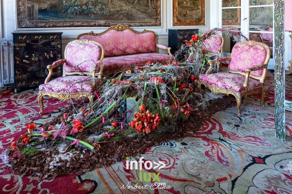 Beloeil > Exposition > Les Amaryllis > Photos