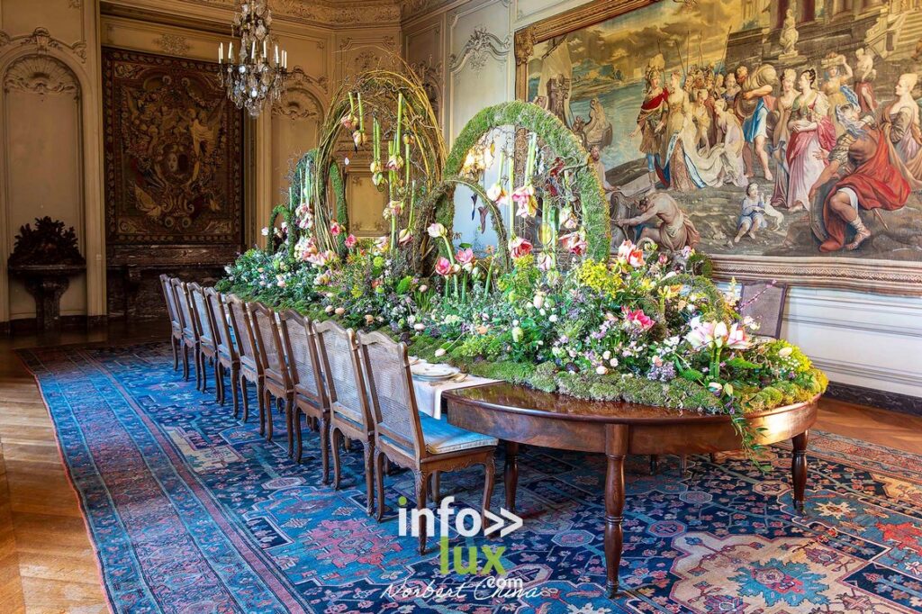 Beloeil > Exposition > Les Amaryllis > Photos