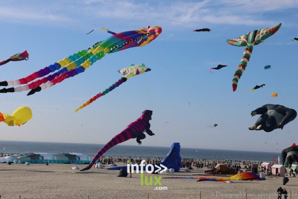 Berck > Festival > Cerfs-volants > Photos