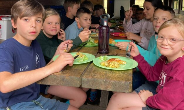 Wallonie > Camps d’été durables