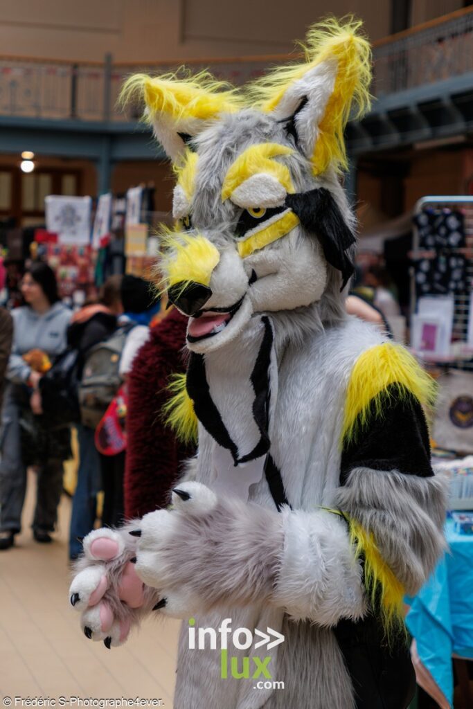 Charleroi > Cosplay > D-Con > Convention pop culture