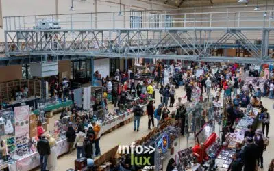 Charleroi > Cosplay > D-Con > Convention pop culture