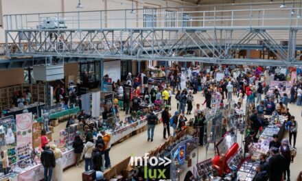 Charleroi > Cosplay > D-Con > Convention pop culture