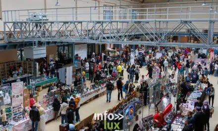 Charleroi > Cosplay > D-Con > Convention pop culture