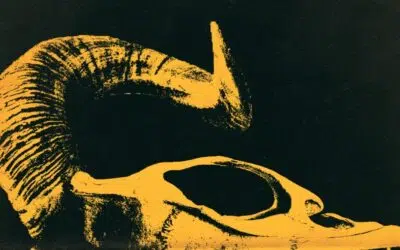 Charleroi > EP > Finest Loud Music