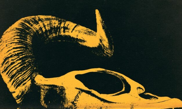 Charleroi > EP > Finest Loud Music