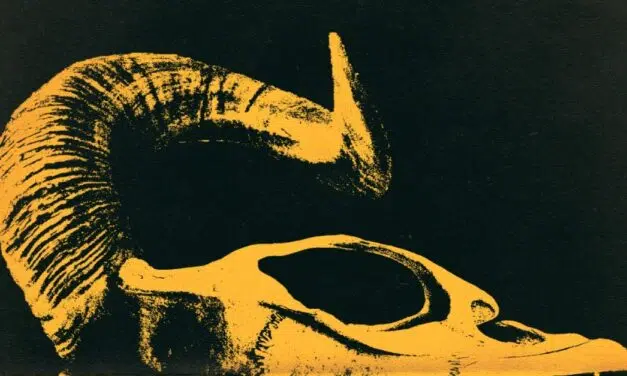 Charleroi > EP > Finest Loud Music