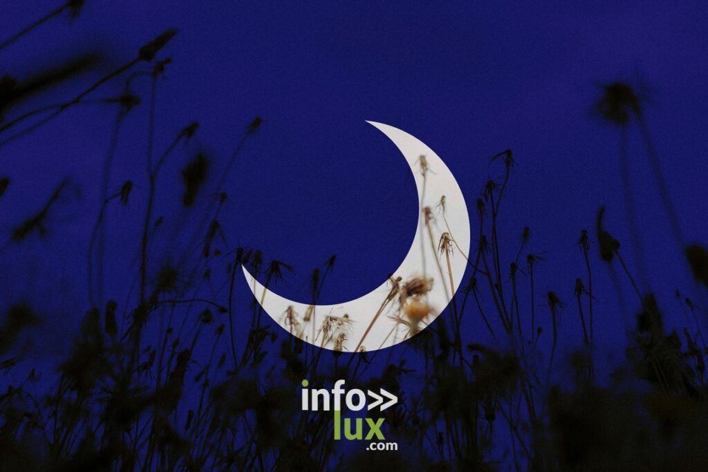 Dévéloppement personnel > Apprendre à sauter