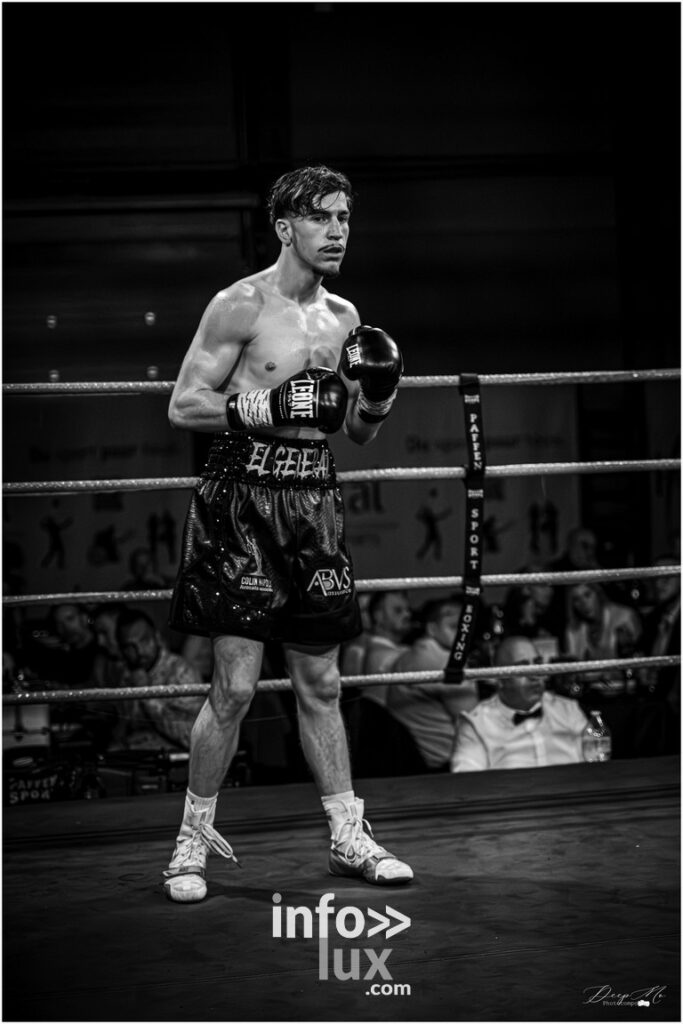 Herstal > Boxe > Gala IBO > Photos