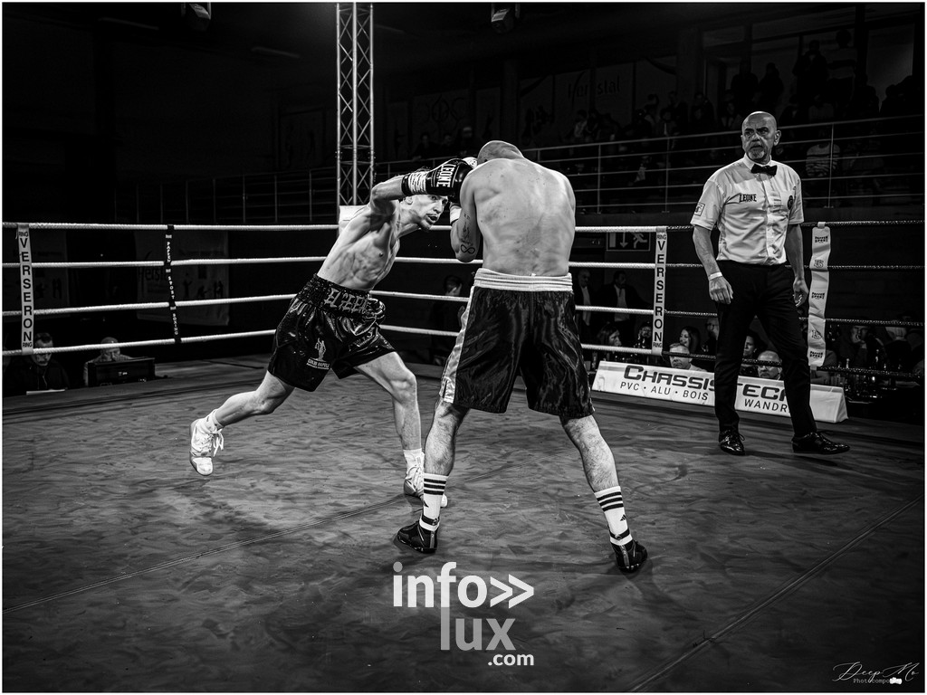 Herstal > Boxe > Gala IBO > Photos
