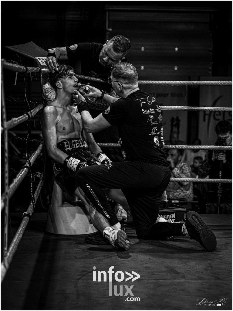 Herstal > Boxe > Gala IBO > Photos