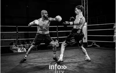 Herstal > Boxe > Gala IBO > Photos