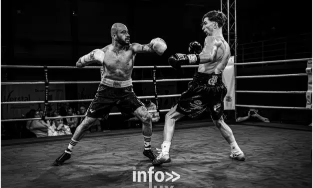 Herstal > Boxe > Gala IBO > Photos
