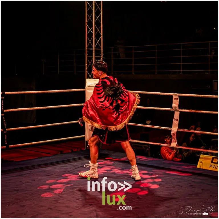 Herstal > Boxe > Gala IBO > Photos