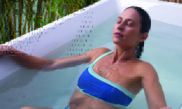 HotSpring Vigor 2026 : Le Bain Froid 230V pour la Recuperation Active