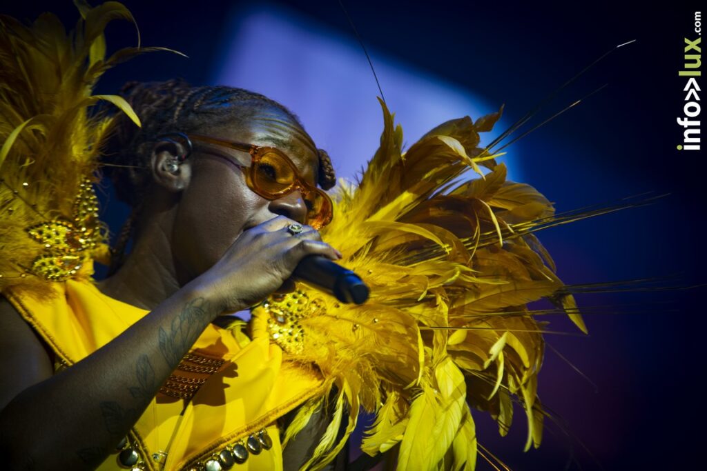 Metz > Concert > Electro Symphony > Photos