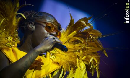 Metz > Concert > Electro Symphony > Photos