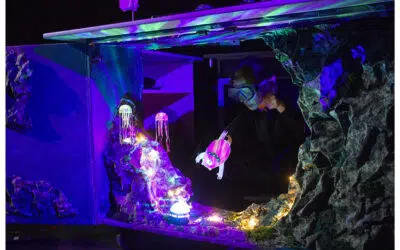 Bertrix > Théâtre > Monstre Rose