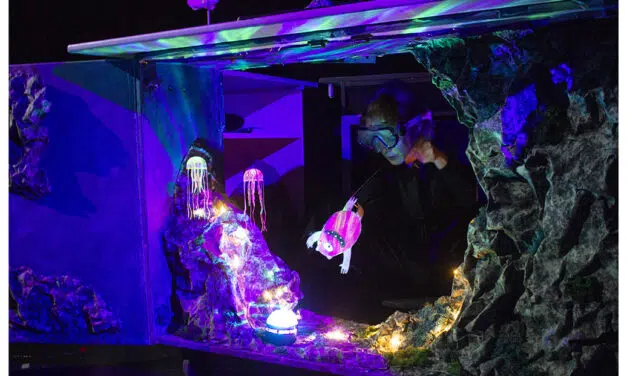 Bertrix > Théâtre > Monstre Rose