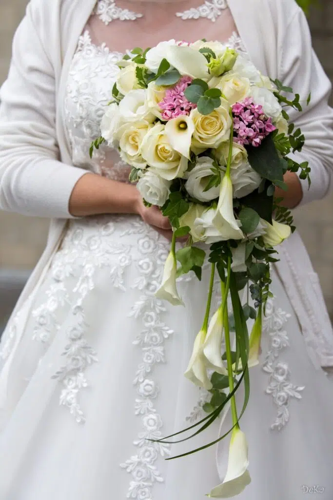 Nivelles > Photographe > Karolyn Delisé-Hanse