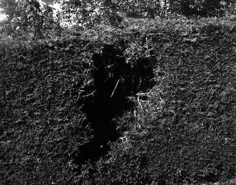 Chiny > Atelier photo argentique