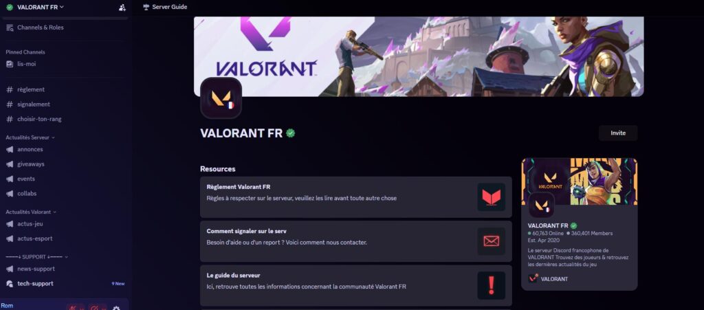 Gaming > Communauté > VALORANT FR un discord qui rassemble les joueurs