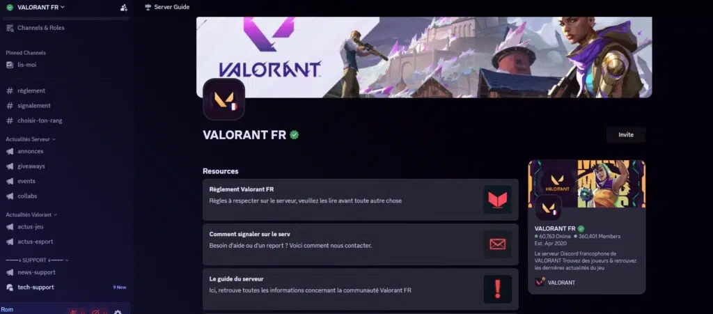 Gaming > Communauté > VALORANT FR un discord qui rassemble les joueurs