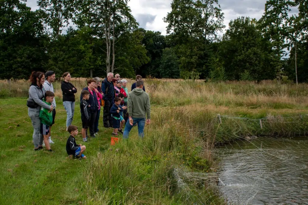 Herbeumont > Balade > Semois > Epioux