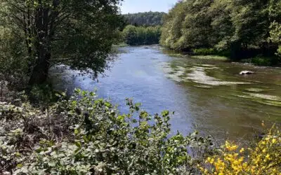 Herbeumont > Balade > Semois > Epioux