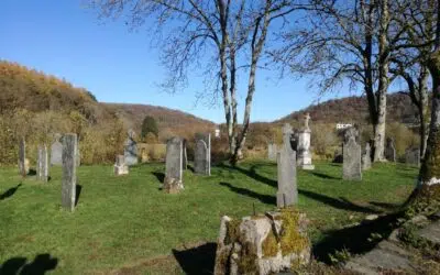 Mortehan > Balade nature des genêts