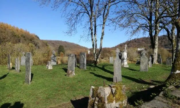 Mortehan > Balade nature des genêts