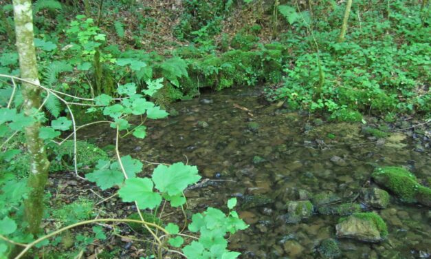 Chameleux > Balade > Source du Taureau