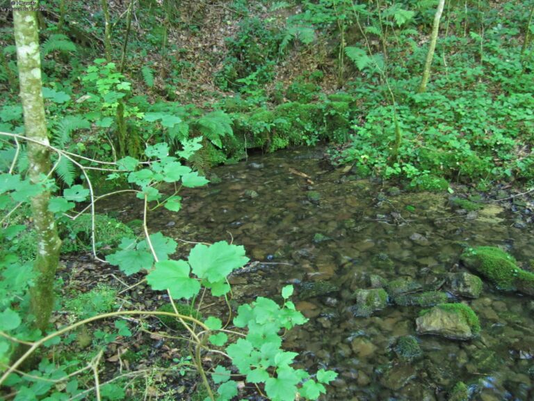 Chameleux » Balade » Source du Taureau